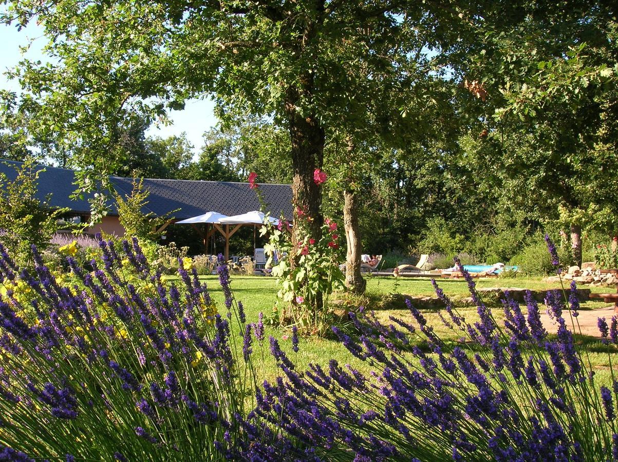 La Villa Des Pins Verrieres  Luaran gambar