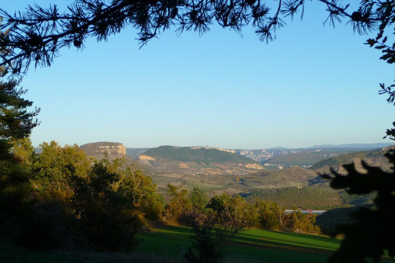 La Villa Des Pins Verrieres  Luaran gambar